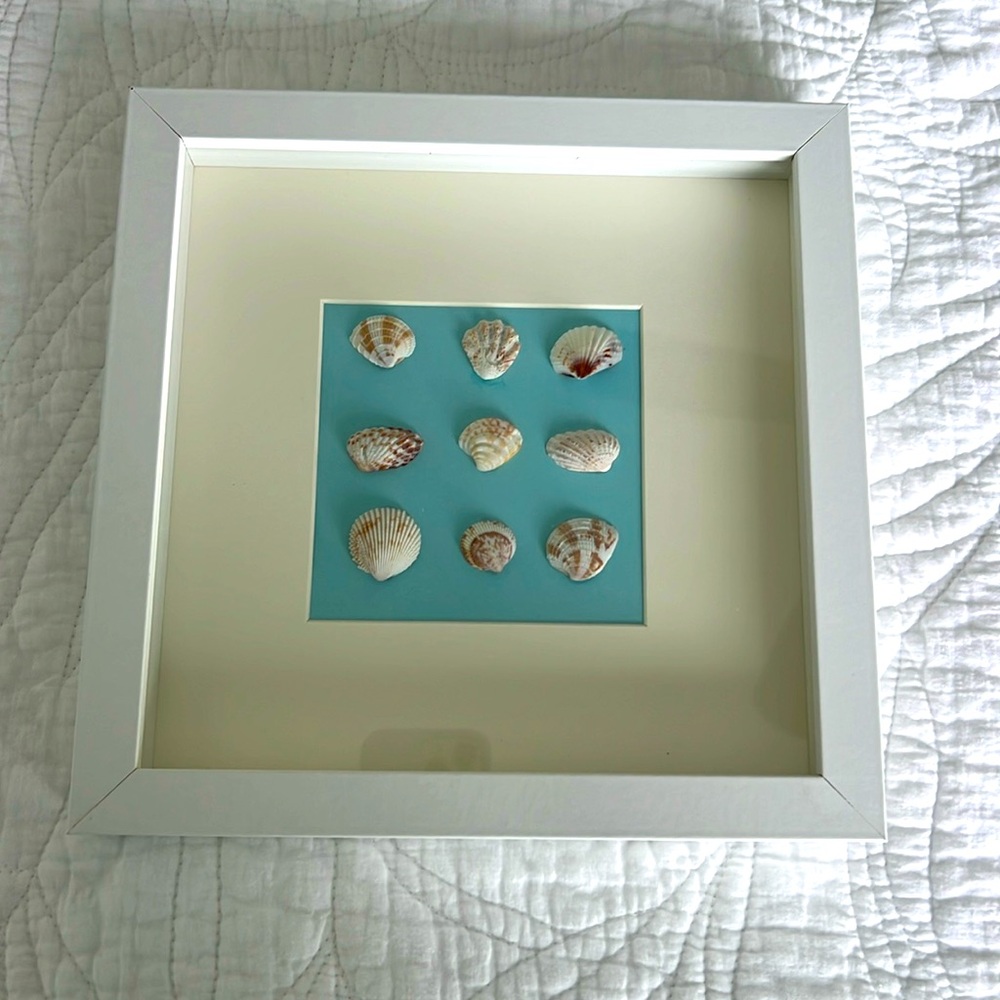 SEA SHELL ART